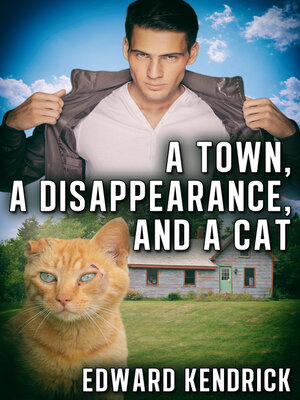 cover image of A Town, a Disappearance, and a Cat